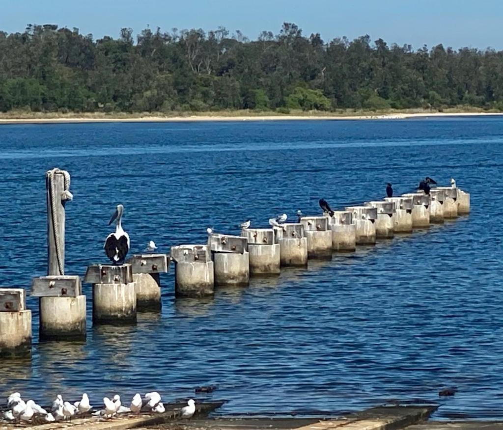 Sandbar Motel Lakes Entrance Exterior foto